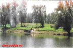 Dunarea la cheson-3.jpg (66kb)